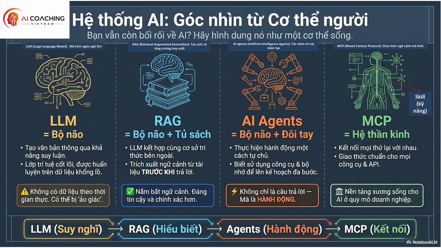Hình minh họa